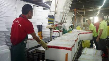 日配超70噸，九江魚興港以預(yù)制菜解鎖魚的百變吃法